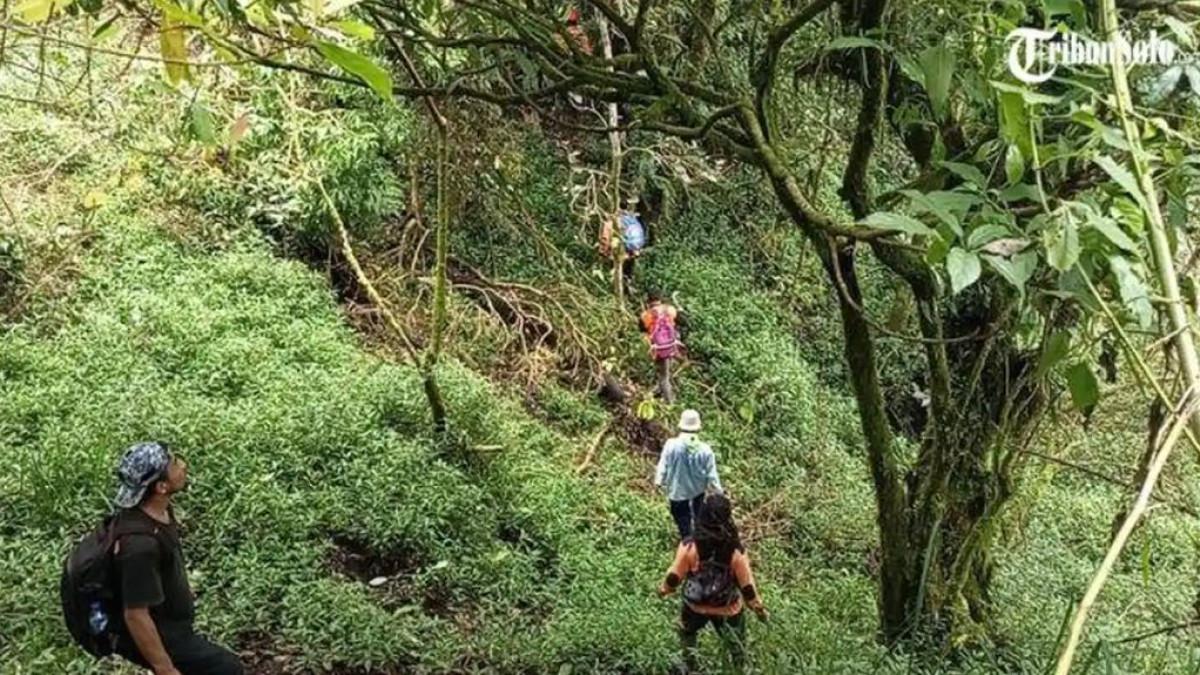 PENDAKI HILANG - Operasi pencarian SAR (Opsar) suvirvor Yazid Ahmad Firdaus (26), pemuda asal Desa Gawanan, Kecamatan Colomadu, Kabupaten Karanganyar yang hilang di Bukit Mongkrang, Kecamatan Tawangmangu, Kabupaten Karanganyar, ke-12 Jum'at (30/1/2026).