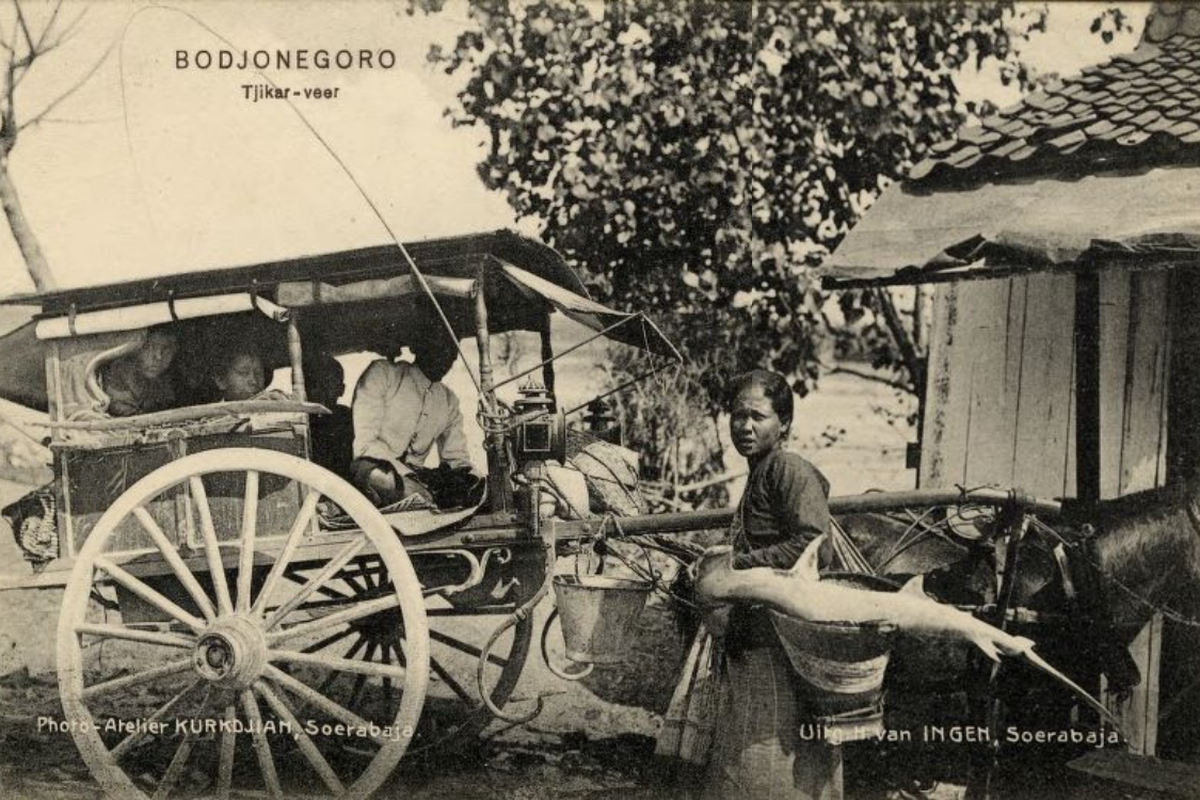 Dokumentasi Foto cikar di Bojonegoro antara Tahun 1900-1920.