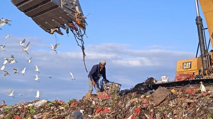 MEMILAH SAMPAH - Seorang Pemulung sedang memilah sampah di TPA Suwung beberapa waktu lalu.