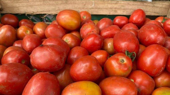 Tomat di Pasar Induk Sabang baru-baru ini