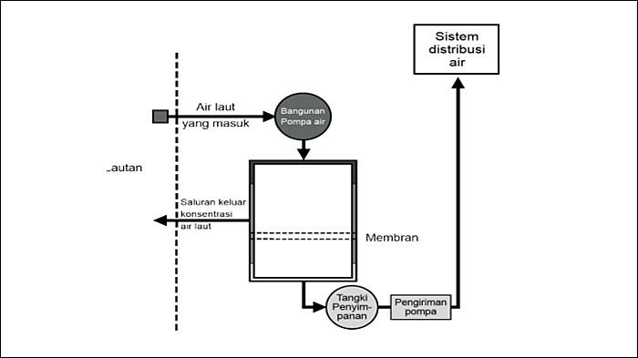 SOAL NOMOR 1-3 - Gambar soal nomor 1-3 Biologi Kelas 11 Kurikulum Merdeka Halaman 53-55, Uji Kompetensi Bab 2. Soal pada buku Biologi untuk SMA/MA Kelas XI Edisi 1 ditulis Rini Solihat, Eris Rustandi, Wandi Herpiandi dan Zamzam Nursani. (KemendikbudRistek 2022).