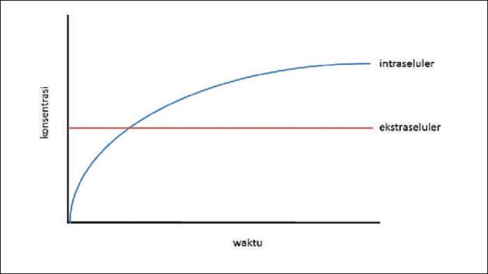 SOAL NOMOR 5 - Gambar soal nomor 5 Biologi Kelas 11 Kurikulum Merdeka Halaman 53-55, Uji Kompetensi Bab 2. Soal pada buku Biologi untuk SMA/MA Kelas XI Edisi 1 ditulis Rini Solihat, Eris Rustandi, Wandi Herpiandi dan Zamzam Nursani. (KemendikbudRistek 2022).