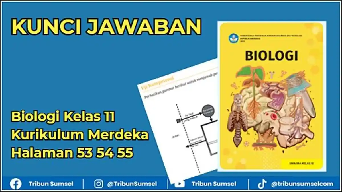 Kunci Jawaban Biologi Kelas 11 Kurikulum Merdeka Halaman 53 54 55, Uji Kompetensi Bab 2