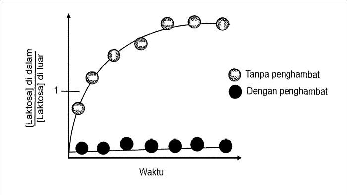 SOAL NOMOR 6 - Gambar soal nomor 6 Biologi Kelas 11 Kurikulum Merdeka Halaman 53-55, Uji Kompetensi Bab 2. Soal pada buku Biologi untuk SMA/MA Kelas XI Edisi 1 ditulis Rini Solihat, Eris Rustandi, Wandi Herpiandi dan Zamzam Nursani. (KemendikbudRistek 2022).