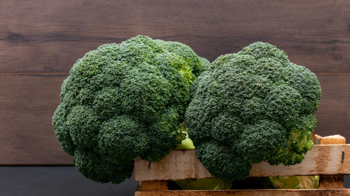 Ilustrasi brokoli, sayuran tinggi vitamin C yang dapat meningkatkan kekebalan tubuh