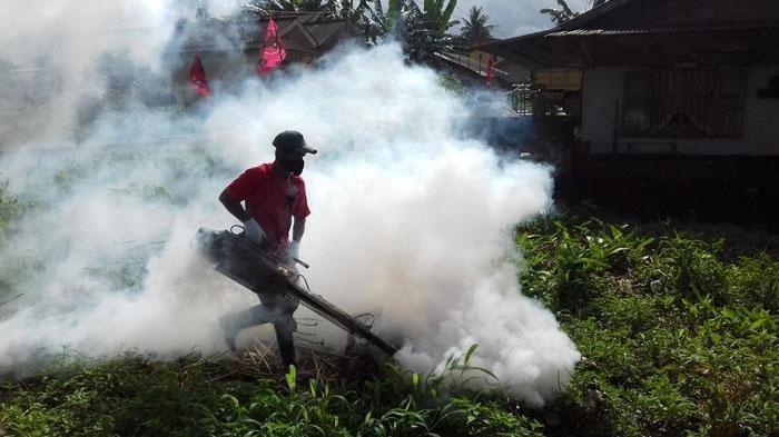 Ilustrasi fogging yang tidak efektif basmi nyamuk demam berdarah