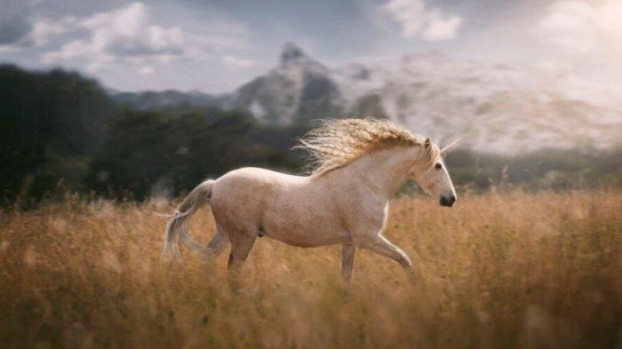 Ilustrasi kuda liar.