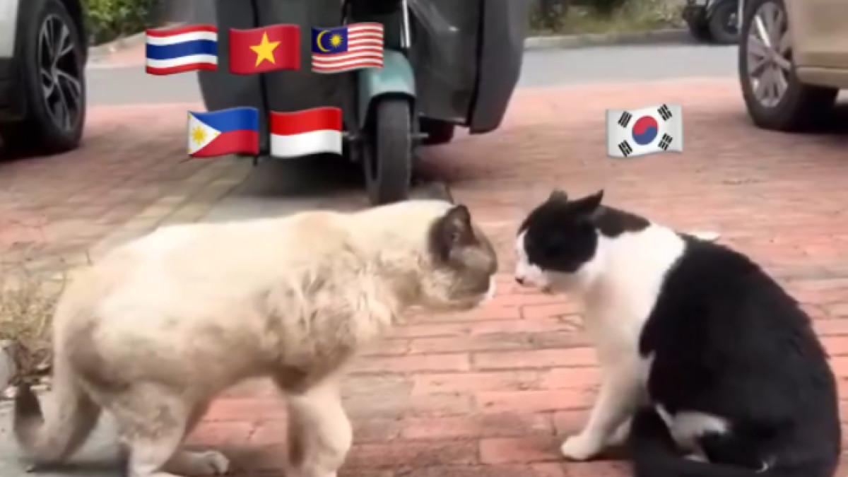 MEME SEABLINGS - Meme SEAblings, fenomena solidaritas digital warganet dari Asia Tenggara melawan netizen Korea Selatan.