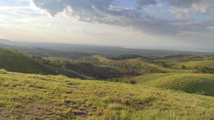 Bukit Lendongara atau LDR, yang berada wilayah Desa Karuni, Kecamatan Loura, Kabupaten Sumba Barat Daya, Nusa Tenggara Timur (NTT)