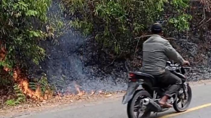 Kebakaran Hutan dan Lahan Meluas di Desa Bondoyon Parigi Moutong, Api Hampir Sentuh Jalan Trans Sulawesi