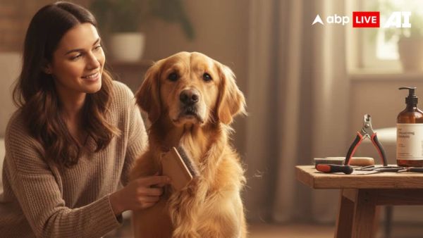 (Image Source: ABPLIVE AI)