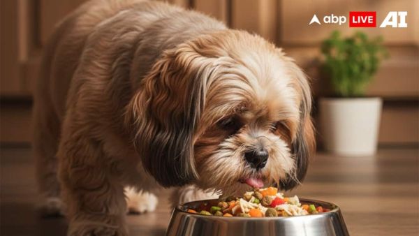 (Image Source: ABPLIVE AI)