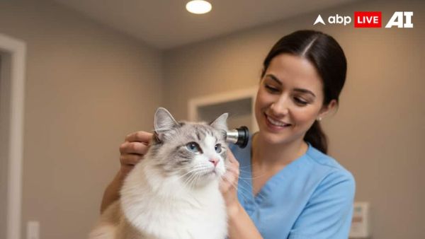 (Image Source: ABPLIVE AI)