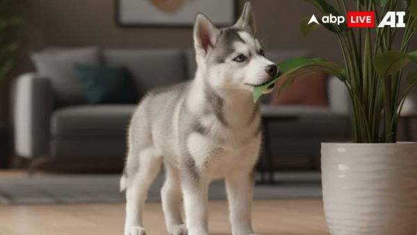 (Image Source: ABPLIVE AI)