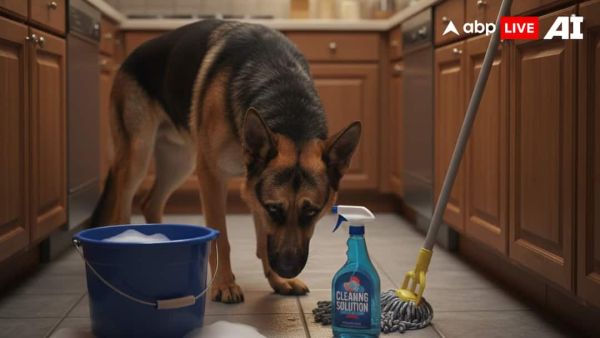 (Image Source: ABPLIVE AI)