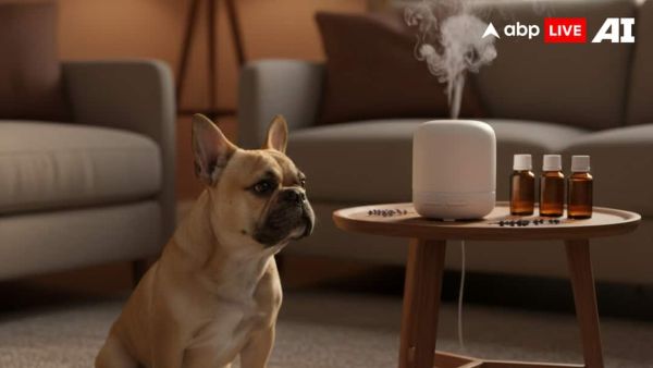 (Image Source: ABPLIVE AI)