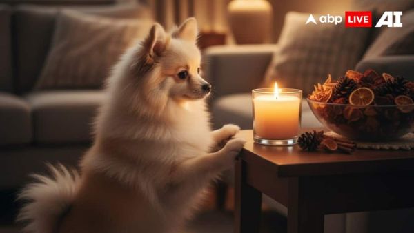 (Image Source: ABPLIVE AI)