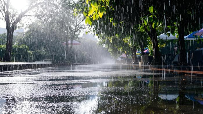 HUJAN SIANG- Ilustrasi hujan sedang di siang hari yang melanda sebuah kawasan komplek perumahan.