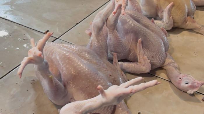 53u89 qw 89h89a h89rah89ras