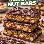 Dark Chocolate Sea Salt Nut Bars