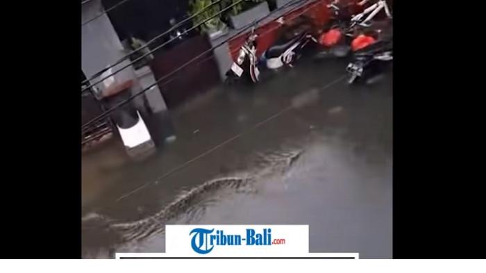 ULAR  - Tangkap layar penemuan ular besar di bencana banjir Bali 2026
