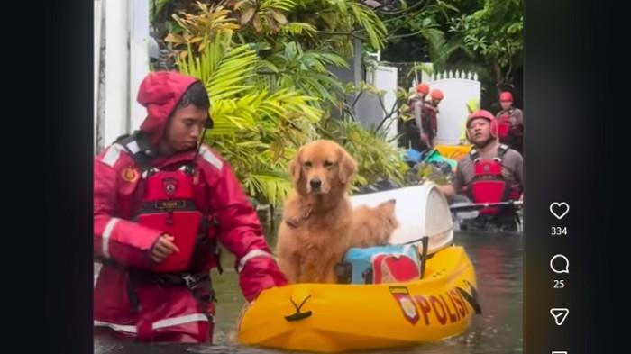 EVAKUASI -  Proses evakuasi anjing oleh personel Ditsamapta Polda Bali