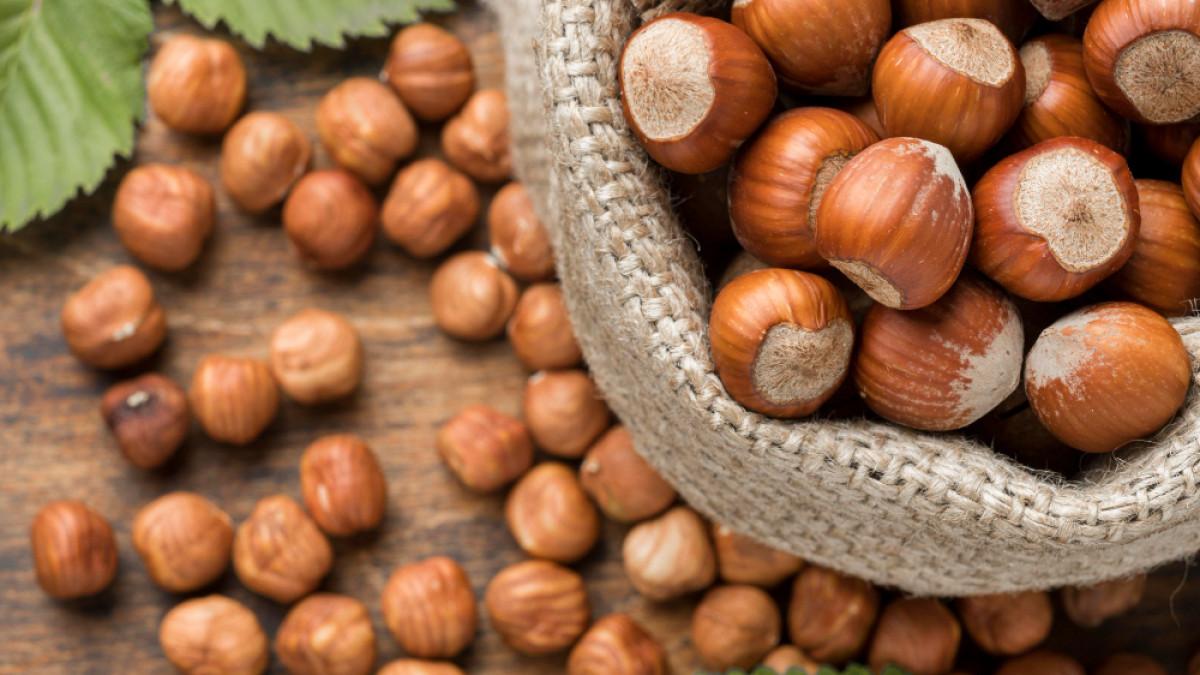 Ilustrasi hazel, kacang kaya omega-3 yang bagus untuk kesehatan jantung