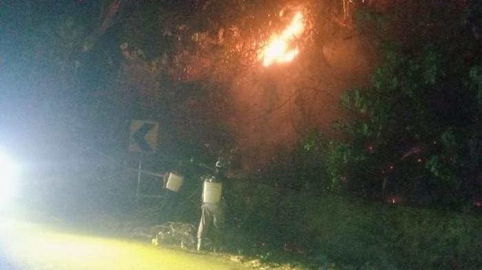 Kebakaran hutan dan lahan terjadi di Desa Labuan Donggulu, Kecamatan Kasimbar, Parigi Moutong, Rabu (25/2/2026) malam.