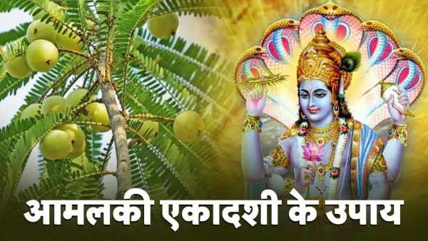 Amalaki Ekadashi 2026 Upay: Do these Amla remedies on the day of Amalaki Ekadashi, financial crisis will go away!