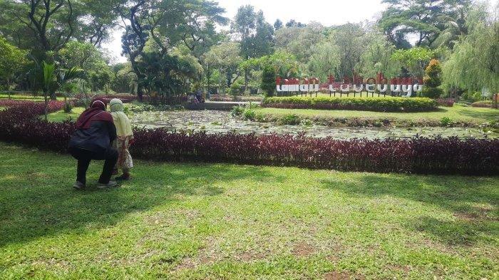 Taman Tabebuya di wilayah Ciganjur, Jagakarsa, Jakarta Selatan.