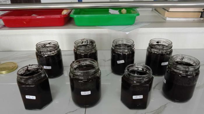 PT KTS Pelopori Pemanfaatan Limbah Cangkang Sawit Jadi Pupuk Organik