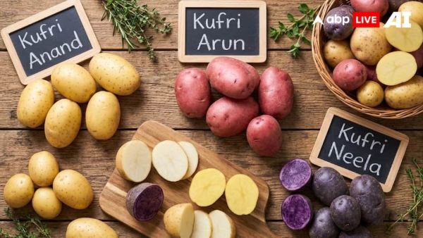 (Image Source: ABPLIVE AI)