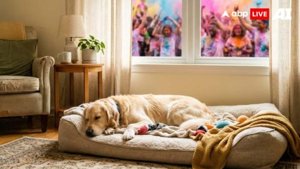 (Image Source: ABPLIVE AI)