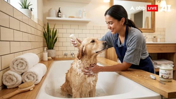 (Image Source: ABPLIVE AI)