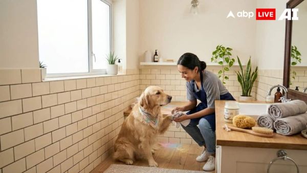 (Image Source: ABPLIVE AI)