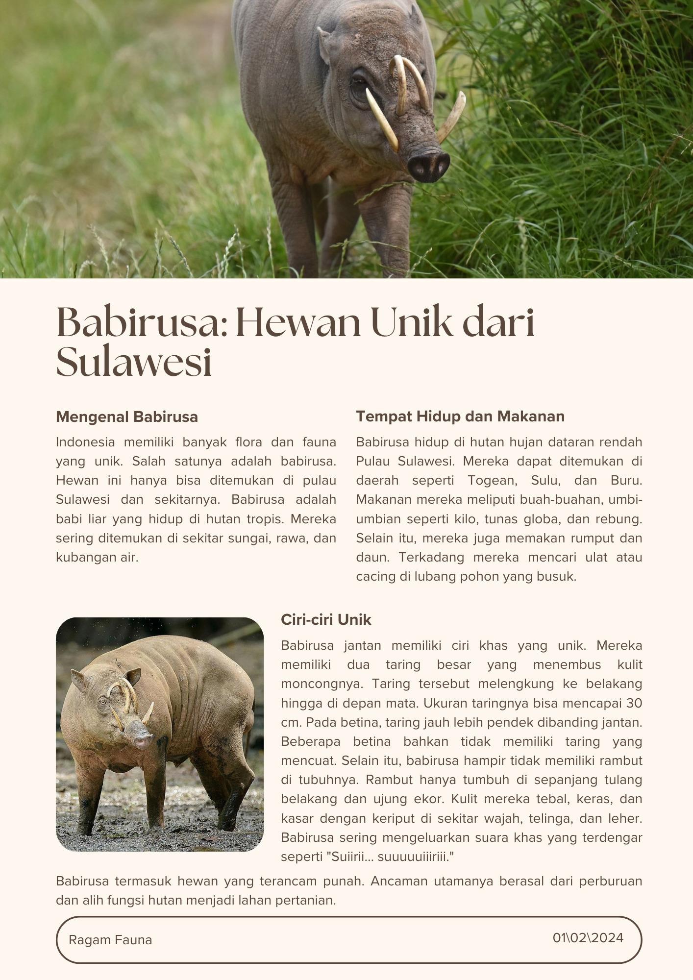 Bacaan sebagai soal TKA Bahasa Indonesia SMP/MTs