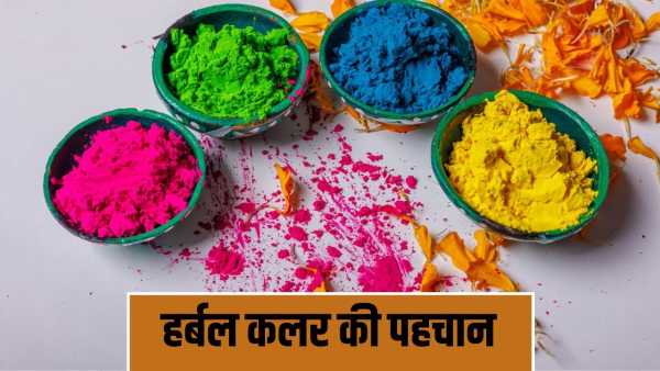 How real is the herbal color of Holi? How to identify…these methods will be useful