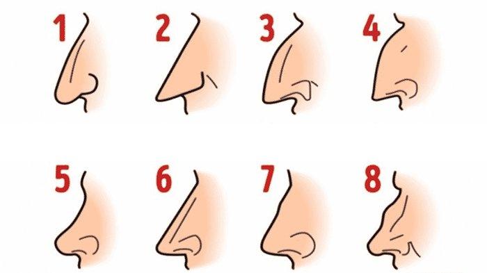 Bentuk Hidung dapat ungkap karakter seseorang sebenarnya