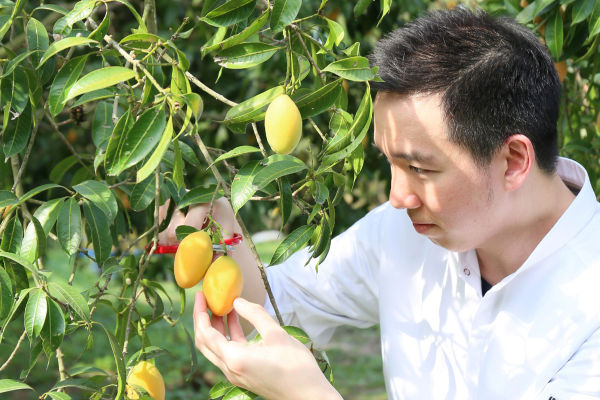 เชฟเดช คิ้วคชา