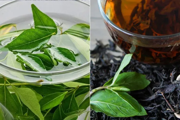 natural remedy for white hair