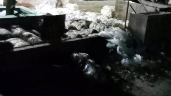 GETAH KARET yang diduga hasil curian di Nagori Dolok Maraja