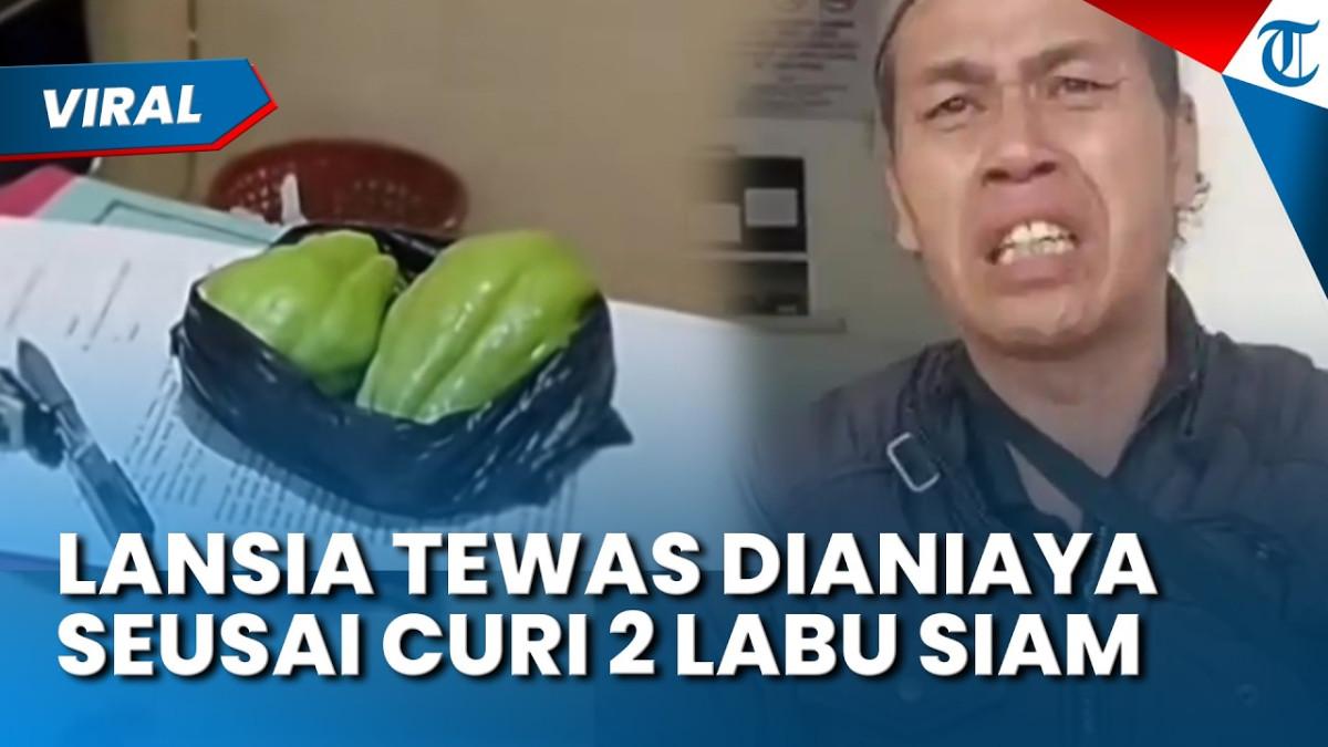 CURI LABU SIAM - Pria 56 tahun tewas dianiaya setelah mencuri 2 labu siam untuk makan.