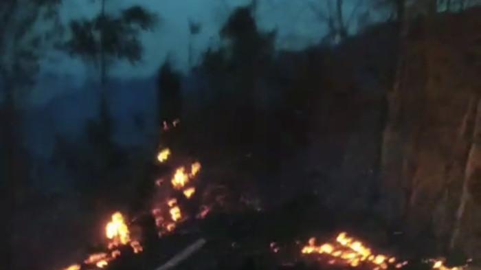 Api Karhutla di Avolua Parigi Mout Merambat Turun ke Perkebunan Warga