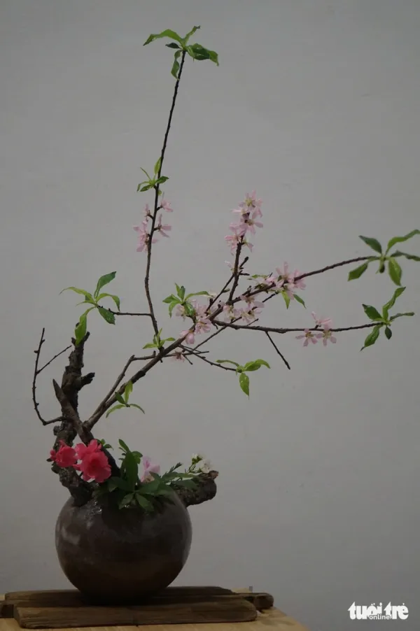 hoa đạo Nhật Bản - Ảnh 6.