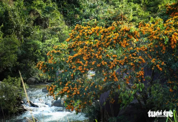 Đà Nẵng - Ảnh 5.