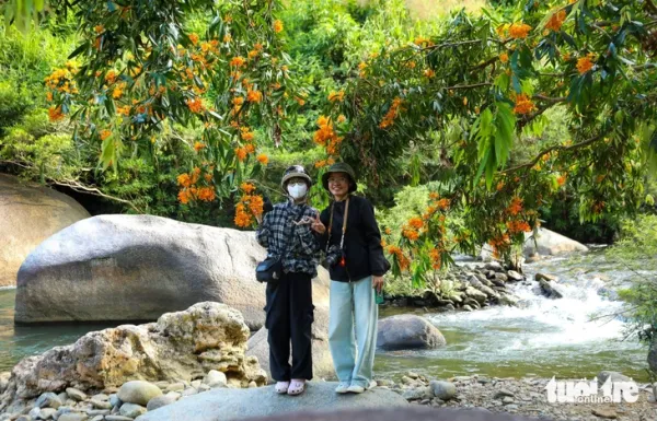 Đà Nẵng - Ảnh 10.