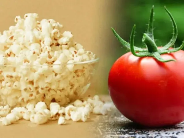 Unik! Kini Ada Tomat yang Aromanya Mirip Popcorn