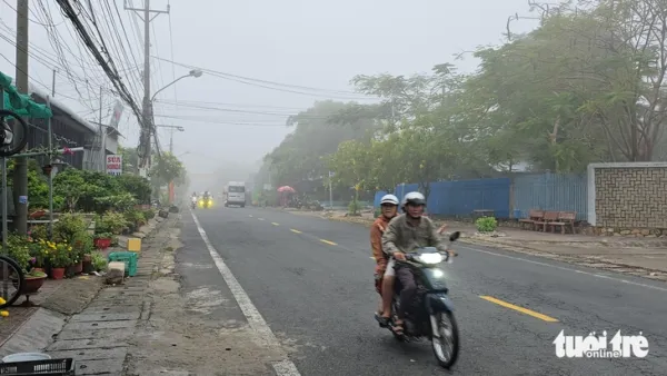 Sương mù dày đặc ở An Giang, cảnh báo dịch bệnh trên lúa - Ảnh 1.