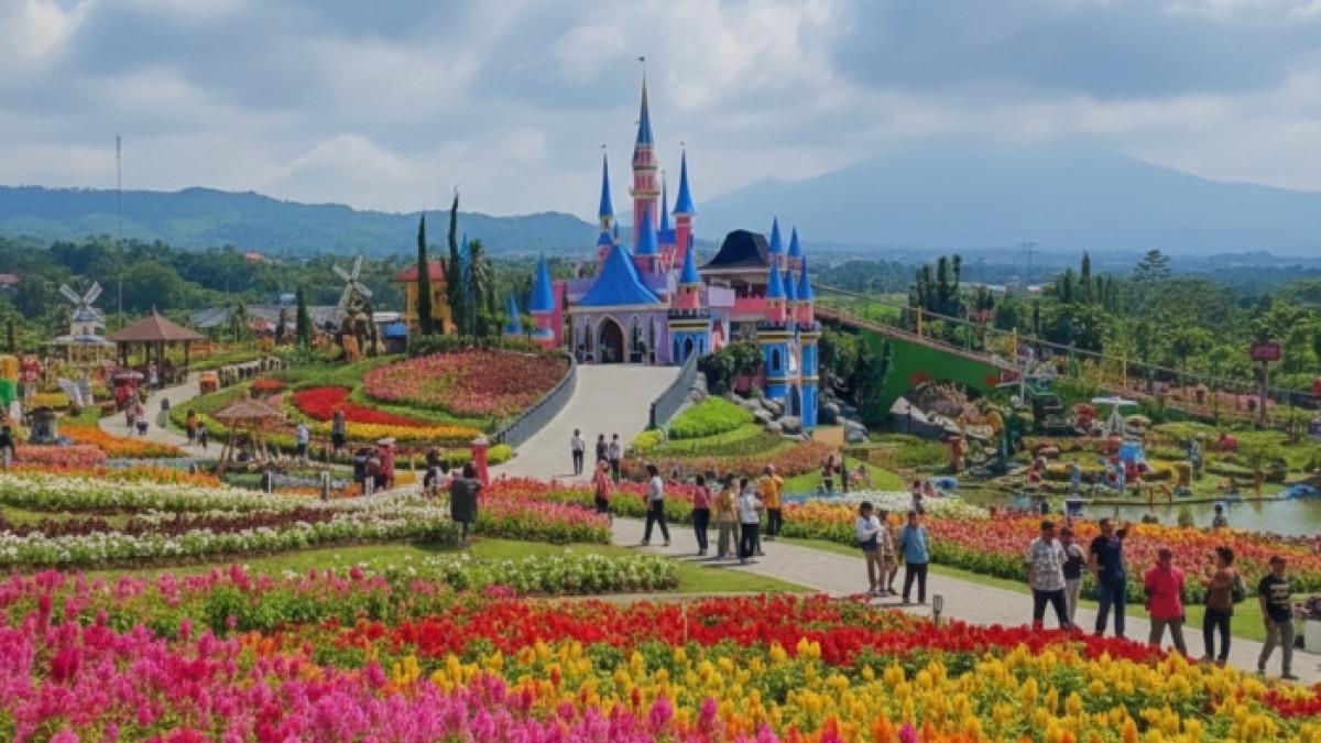 Taman Bunga Celosia, tempat wisata di Semarang, Jawa Tengah untuk liburan akhir pekan.