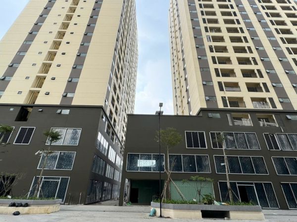 Sở Xây dựng TP.HCM yêu cầu Công ty cổ phần Đức Mạnh sớm nhận hồ sơ mua nhà ở xã hội - Ảnh 1.